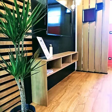 Apartment Ilbetea - Ideal Couple - Duplex Confort - A 400 M - Parking *