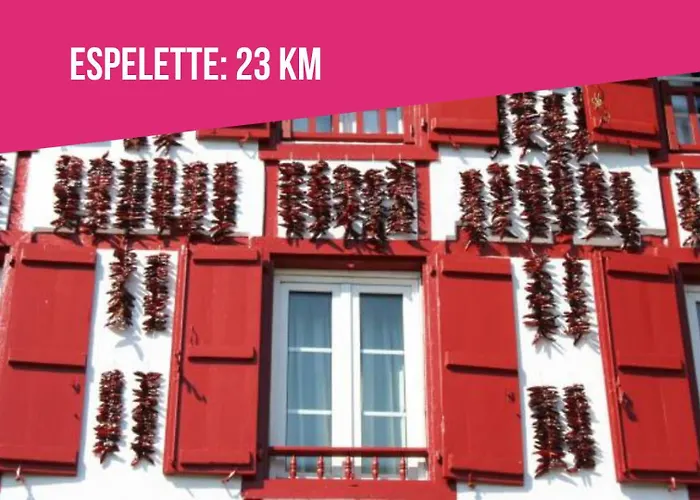 Apartment Ilbetea - Ideal Famille - Duplex Confort - A 400 M - Parking Saint-Jean-de-Luz